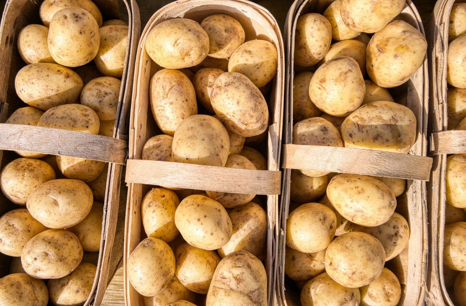 How to Store Potatoes