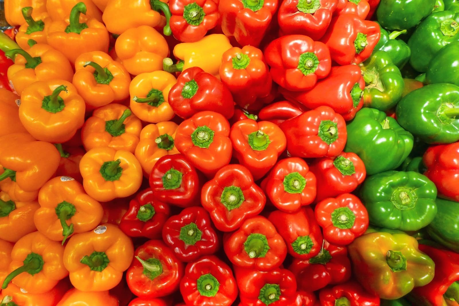 How Long Do Bell Peppers Last in the Fridge?